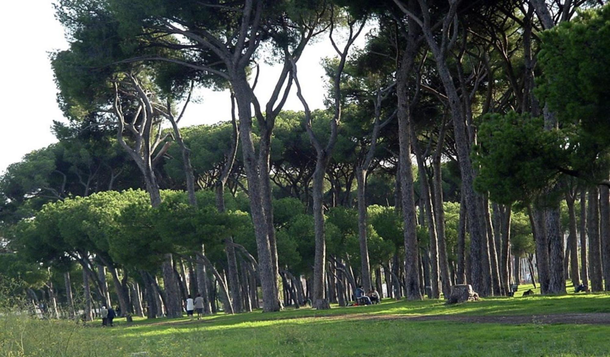 Piuma Celeste A Due Passi Dal Mare E Dal Centro Storico Lido di Ostia Exterior foto